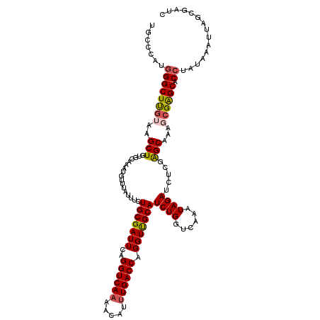 secondary structure