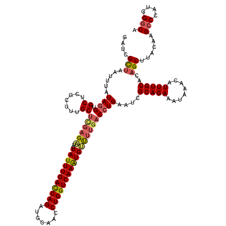 secondary structure