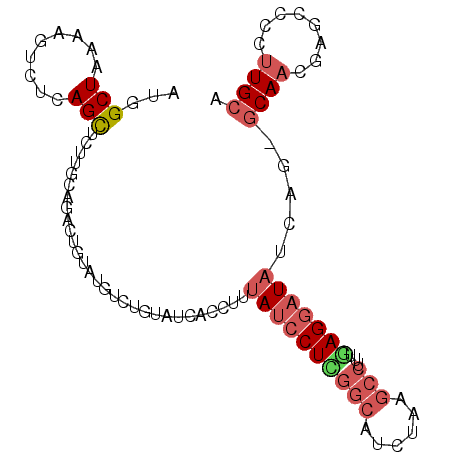 secondary structure