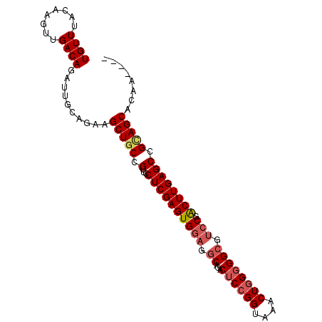 secondary structure
