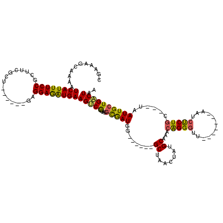 secondary structure