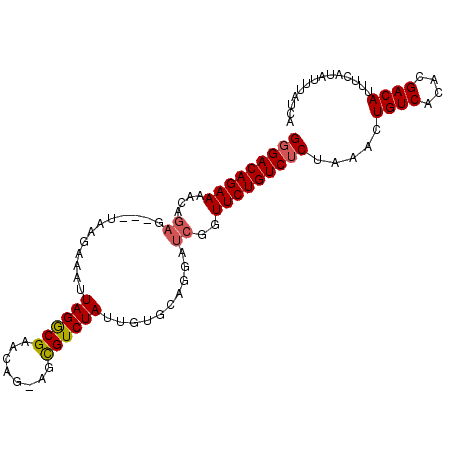 secondary structure