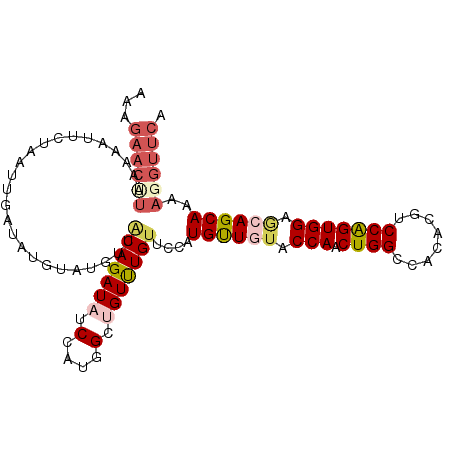 secondary structure