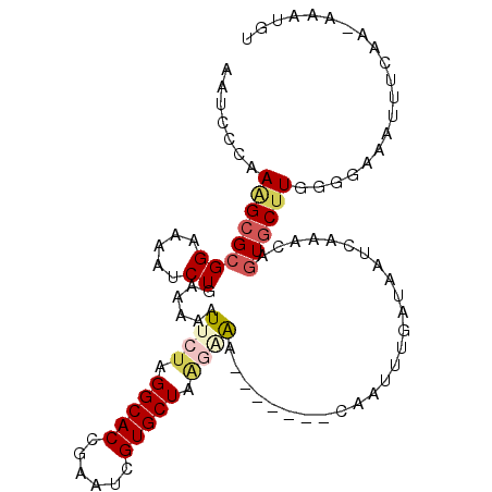 secondary structure