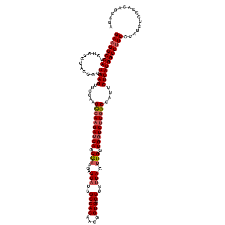 secondary structure