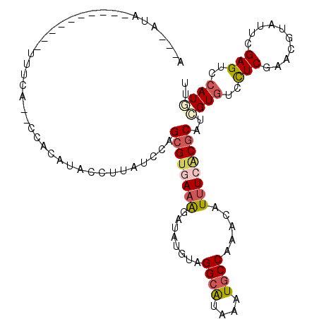 secondary structure