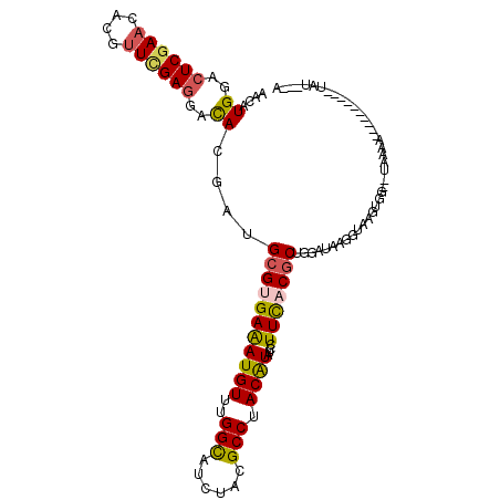 secondary structure