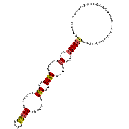 secondary structure