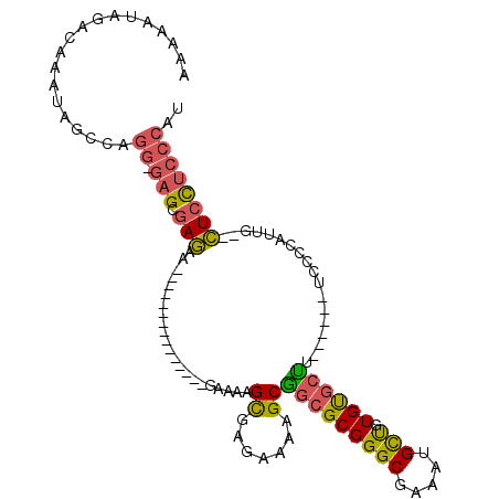 secondary structure