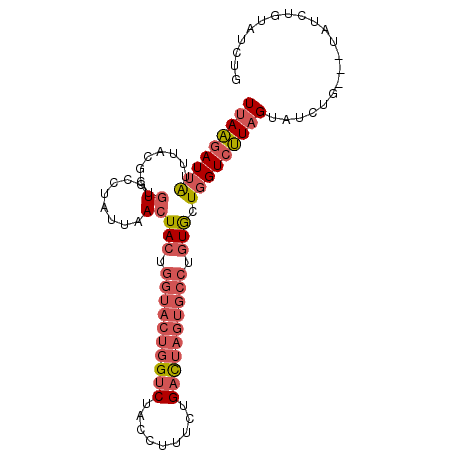 secondary structure