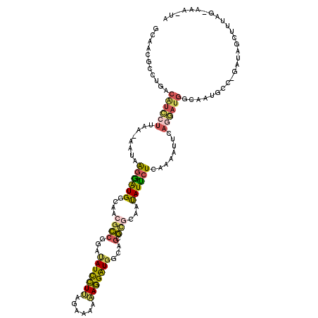 secondary structure