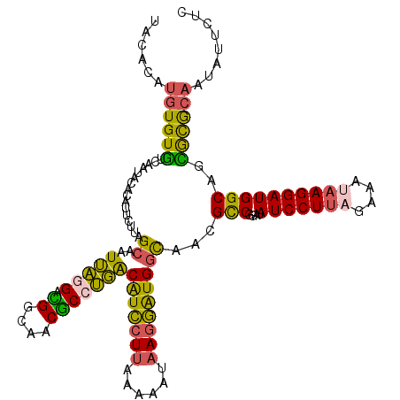 secondary structure