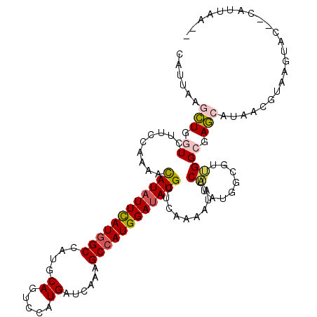 secondary structure