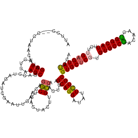 secondary structure