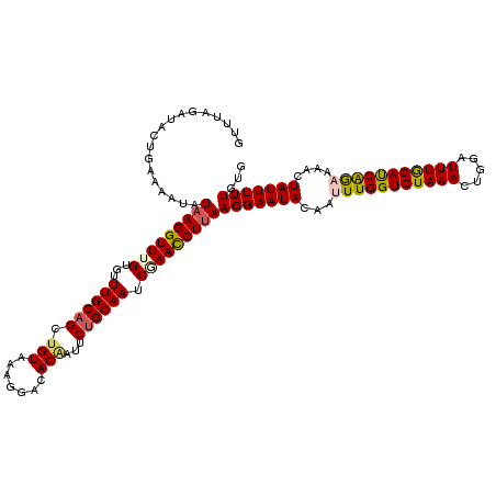 secondary structure