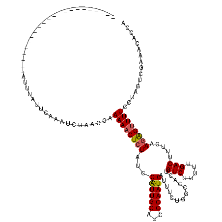 secondary structure
