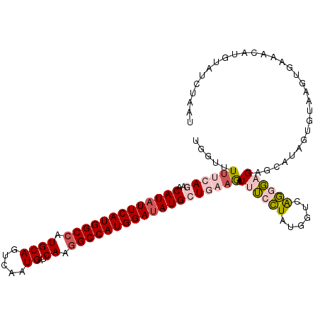secondary structure