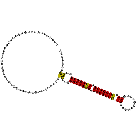 secondary structure
