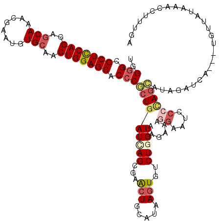 secondary structure