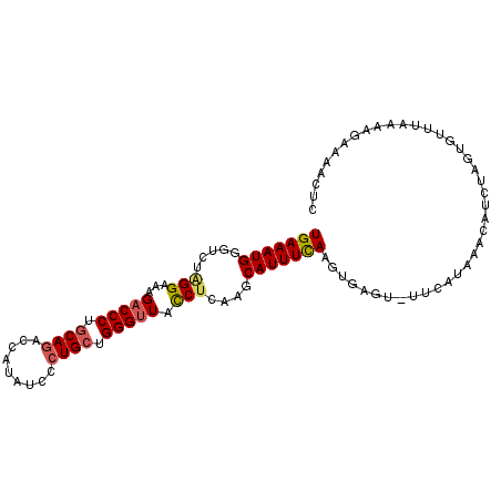 secondary structure