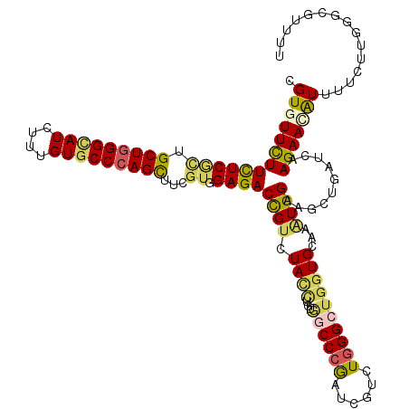 secondary structure
