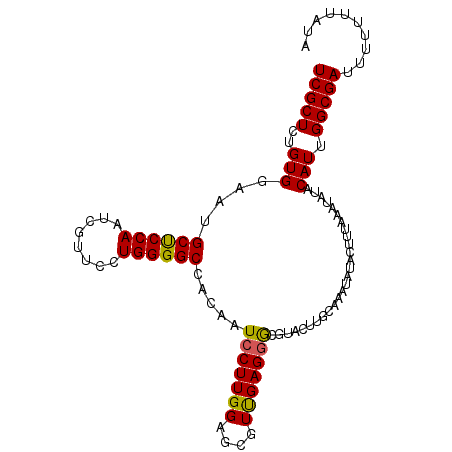 secondary structure