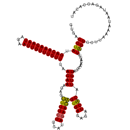 secondary structure