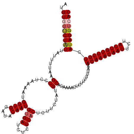 secondary structure