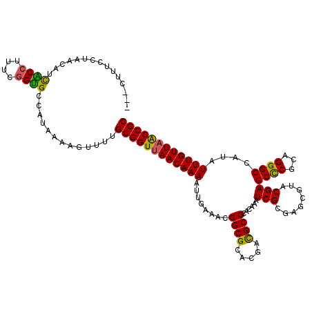 secondary structure