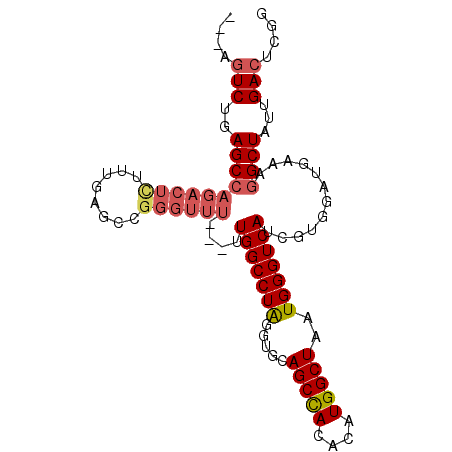 secondary structure