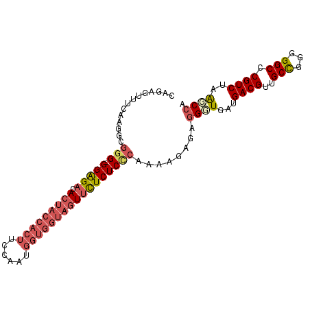 secondary structure
