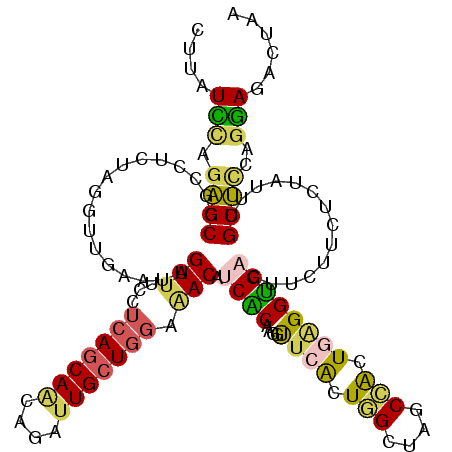 secondary structure