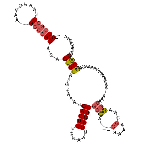 secondary structure