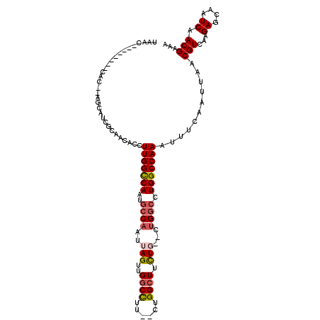 secondary structure