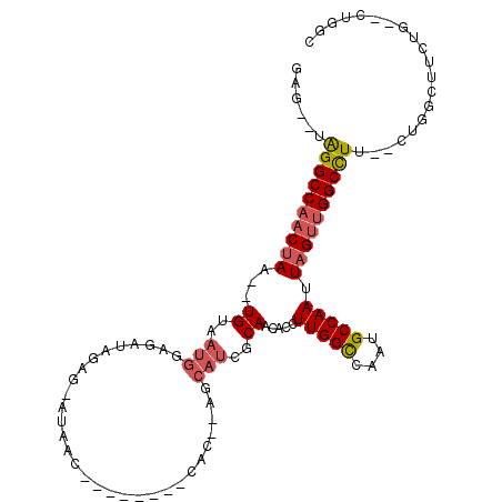 secondary structure
