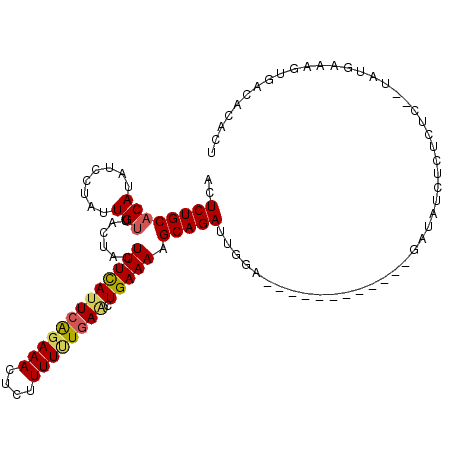secondary structure