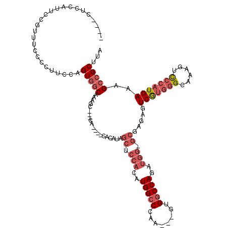 secondary structure