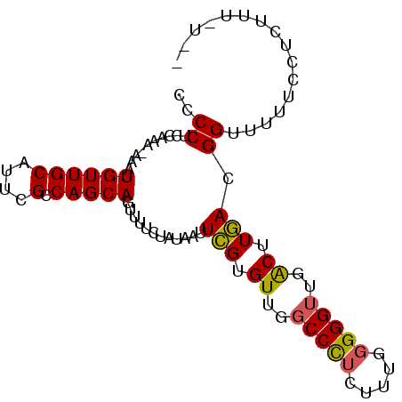secondary structure