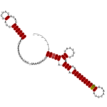 secondary structure