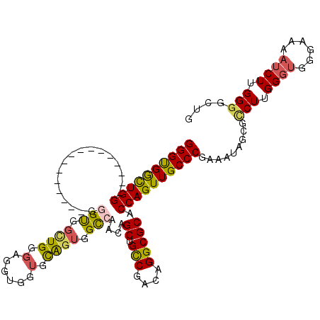 secondary structure