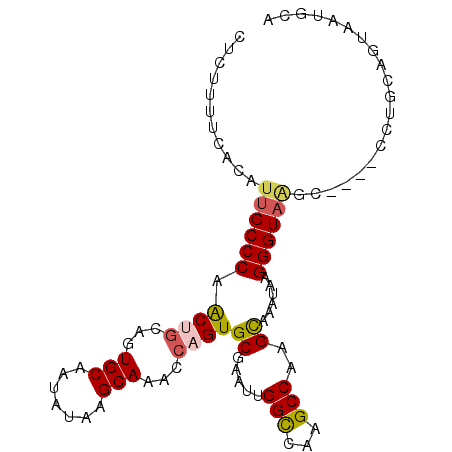 secondary structure