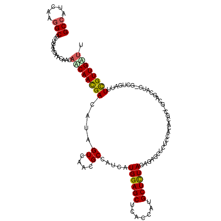 secondary structure