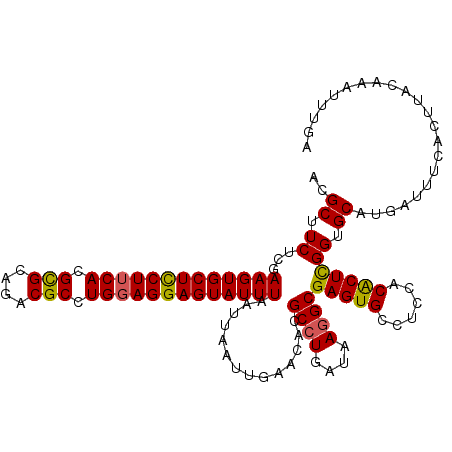 secondary structure