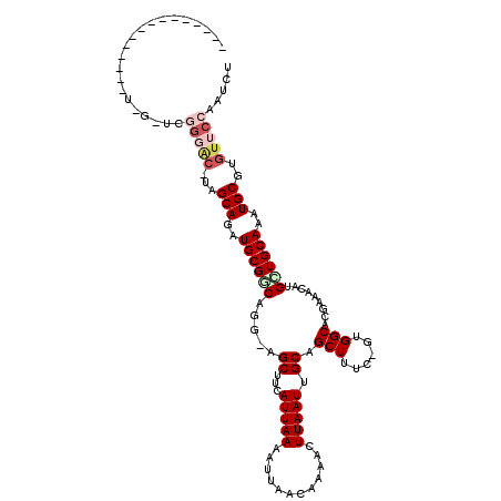 secondary structure