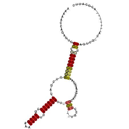 secondary structure