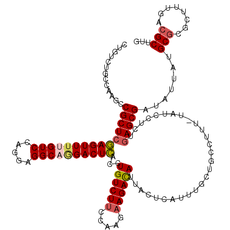 secondary structure