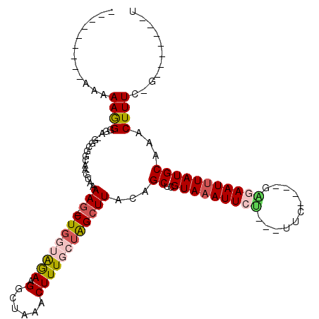 secondary structure
