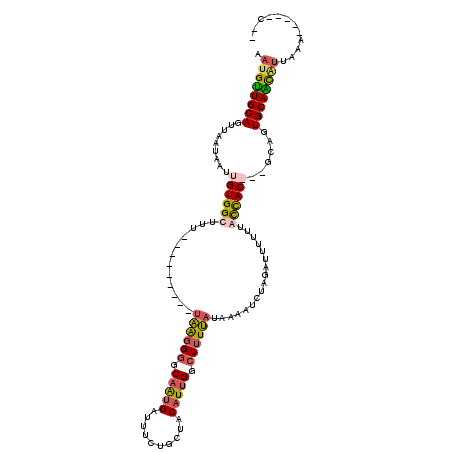 secondary structure