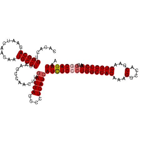 secondary structure