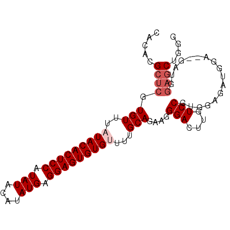 secondary structure